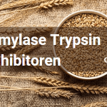 Amylase-Trypsin-Inhibitoren - ATIs