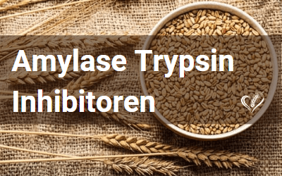 Amylase Trypsin Inhibitoren
