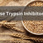 ATI Amylase Trypsin Inhibition